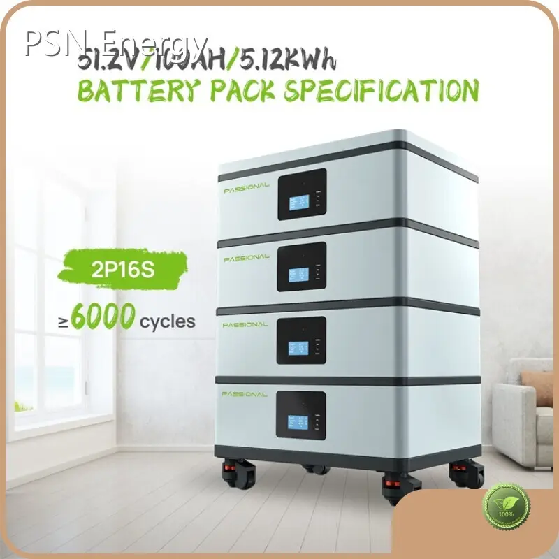 Custom Lithium Ion Battery by PSN Energy-2 1