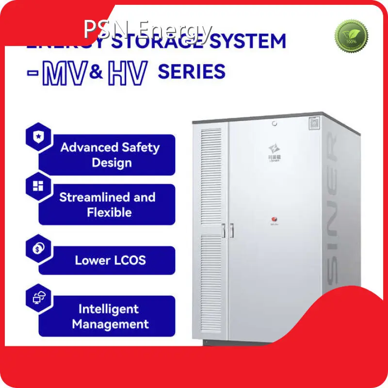 Custom Lithium Ion Battery LFP Wholesale - PSN Energy 1