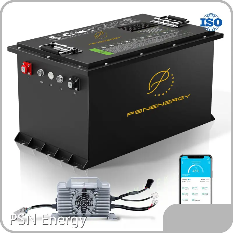 48v 60ah Lithium Ion Battery Wholesale - PSN Energy 1