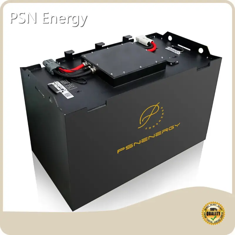 Custom Lithium Ion Battery 4000+ by PSN Energy 1
