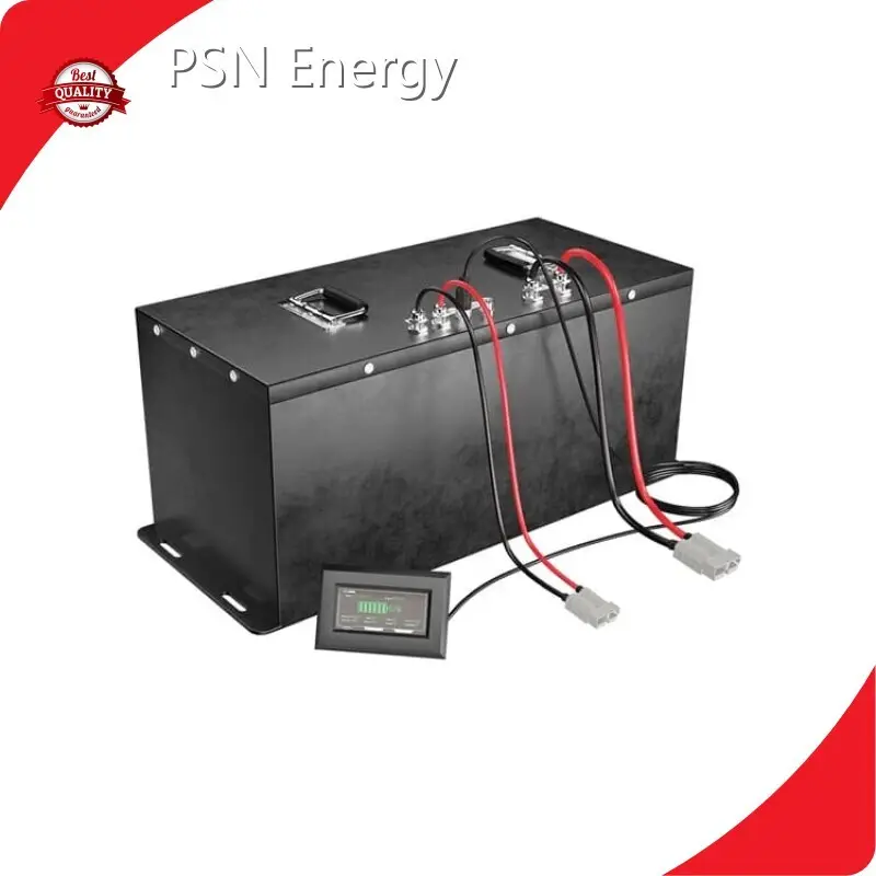 Custom Lithium Battery Manufacturers 65KGS by PSN Energy 1