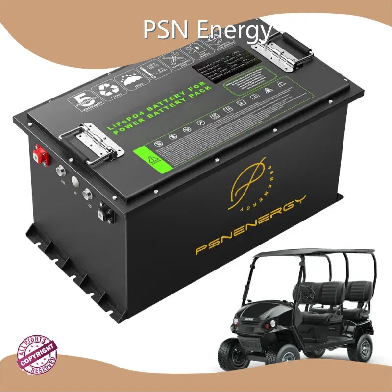 Lithium Ev Battery Pack by PSN Energy-1 1