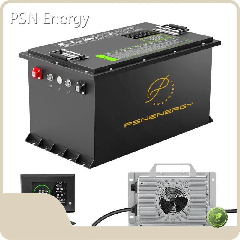 Lithium Ev Battery Pack - - PSN Energy 1
