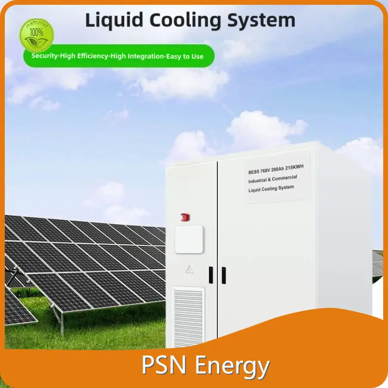 Custom Lithium Ion Battery Wholesale - PSN Energy 1