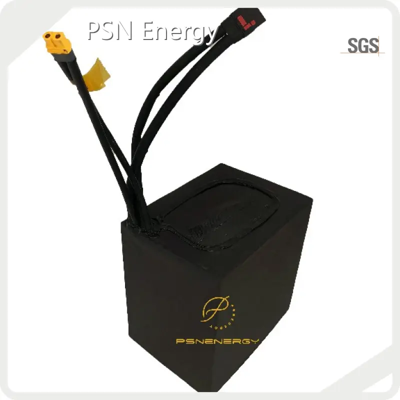 48v 60ah Lithium Ion Battery PSN-7232200L Wholesale - PSN Energy 1