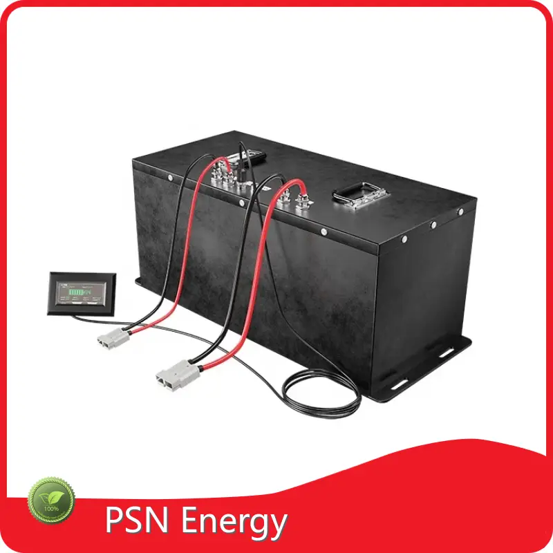 12v Lithium Ion Battery Rechargeable PASSIONALLN Wholesale - PSN Energy 1