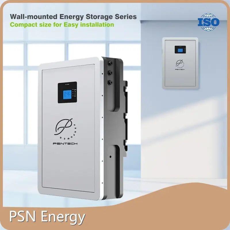 Custom Lithium Ion Battery by PSN Energy-6 1