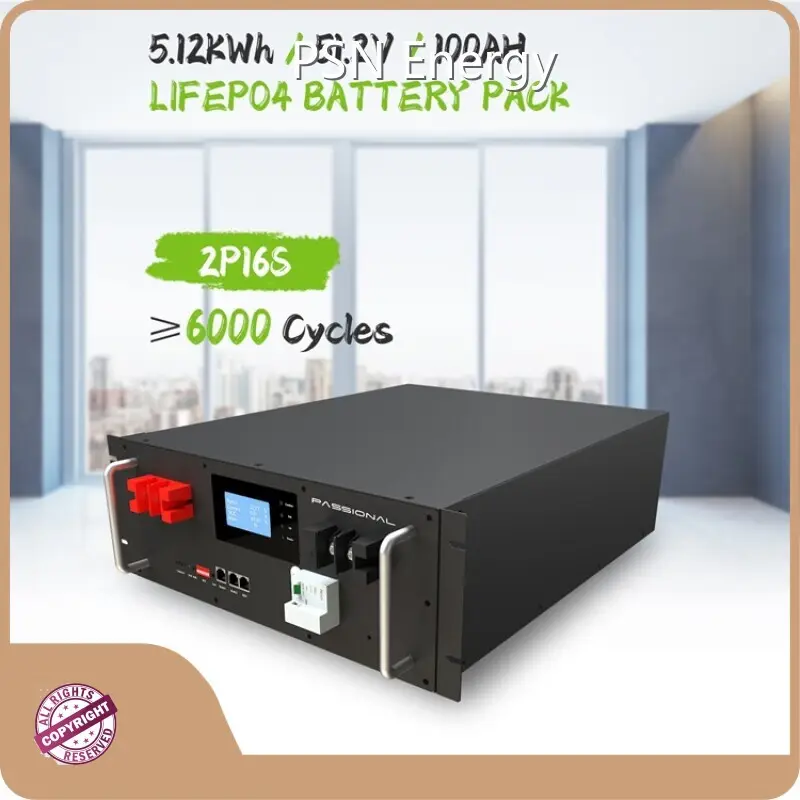 Custom Lithium Ion Battery Wholesale - PSN Energy-1 1