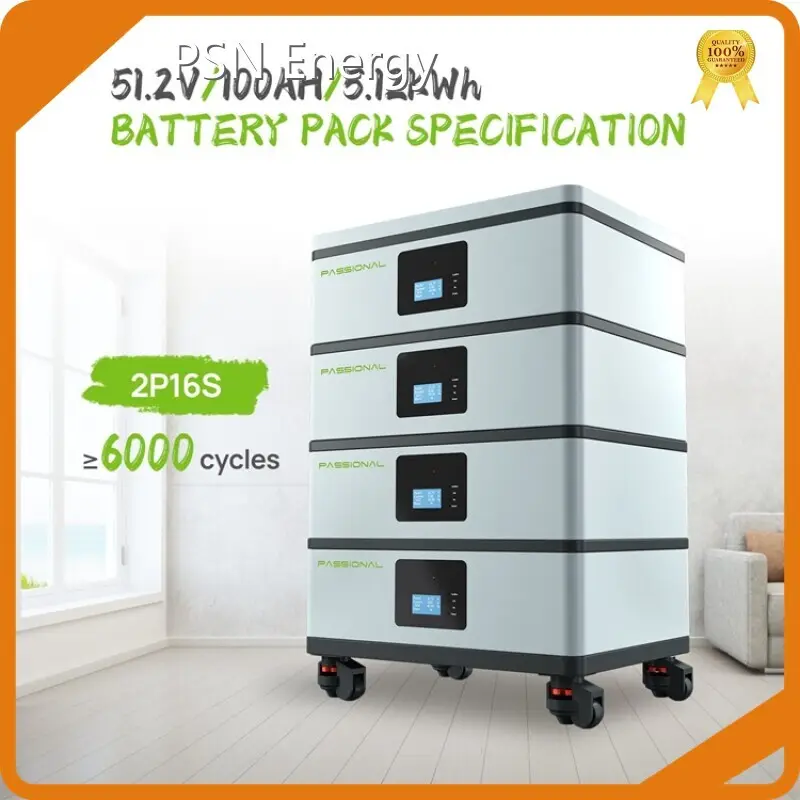 Custom Lithium Ion Battery by PSN Energy-7 1