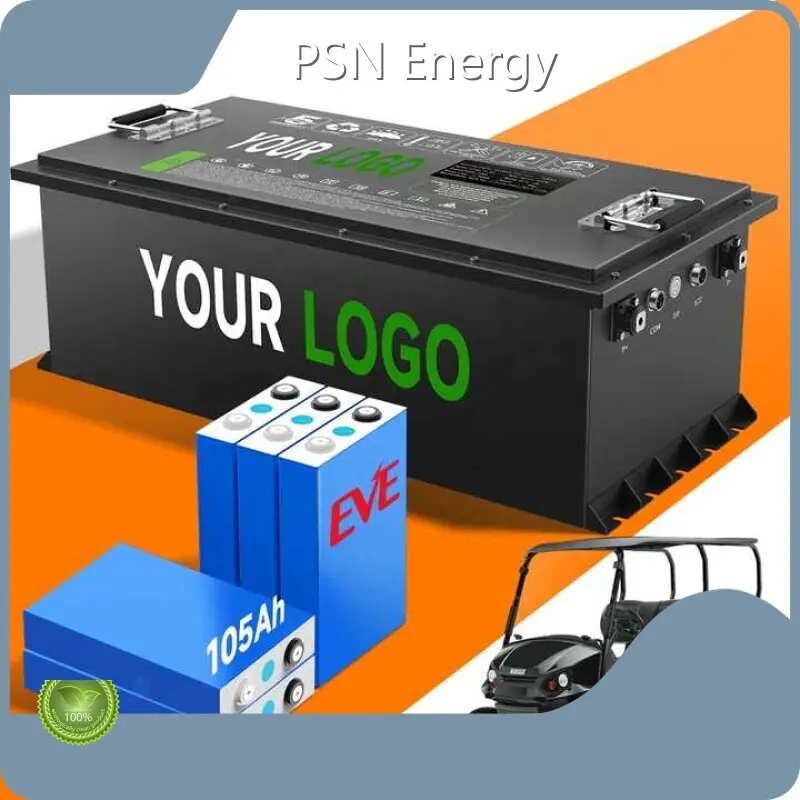 48v 60ah Lithium Ion Battery Wholesale - PSN Energy-1 1