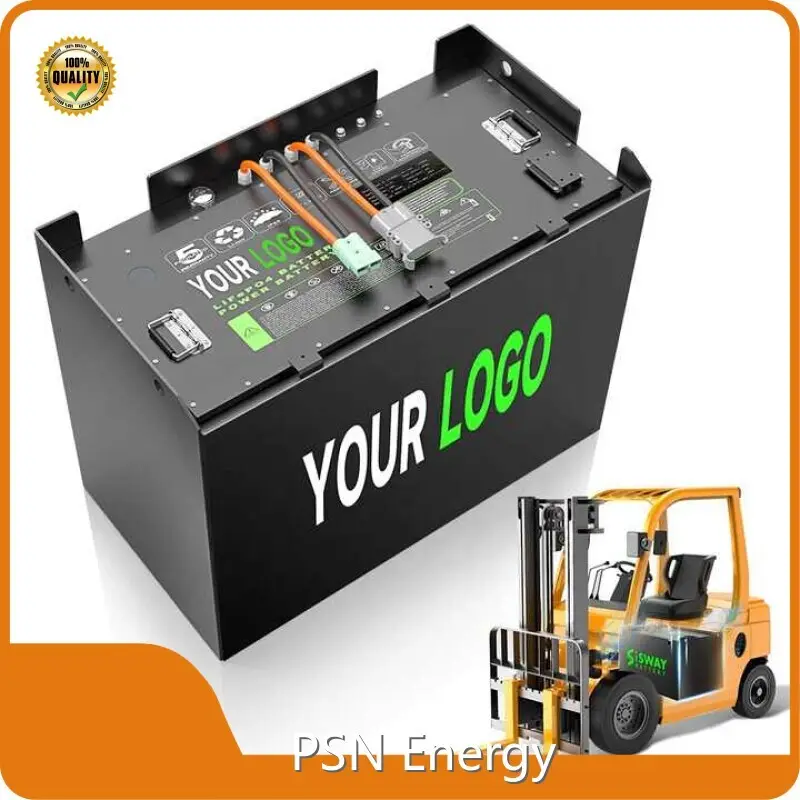 48v 60ah Lithium Ion Battery Customermade Wholesale - PSN Energy 1