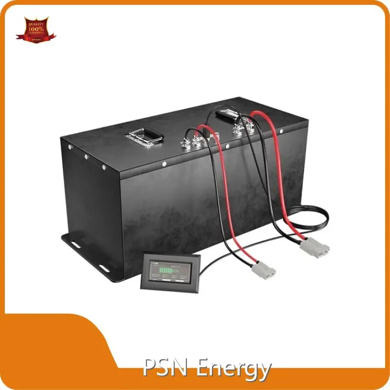 Electric Vehicle Battery Pack 100Ah Wholesale - PSN Energy 1