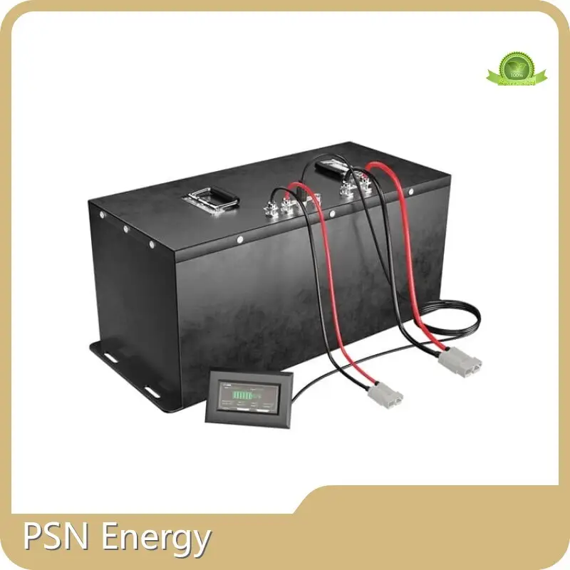 LiFePO4 Lithium Battery Pack - - PSN Energy 1