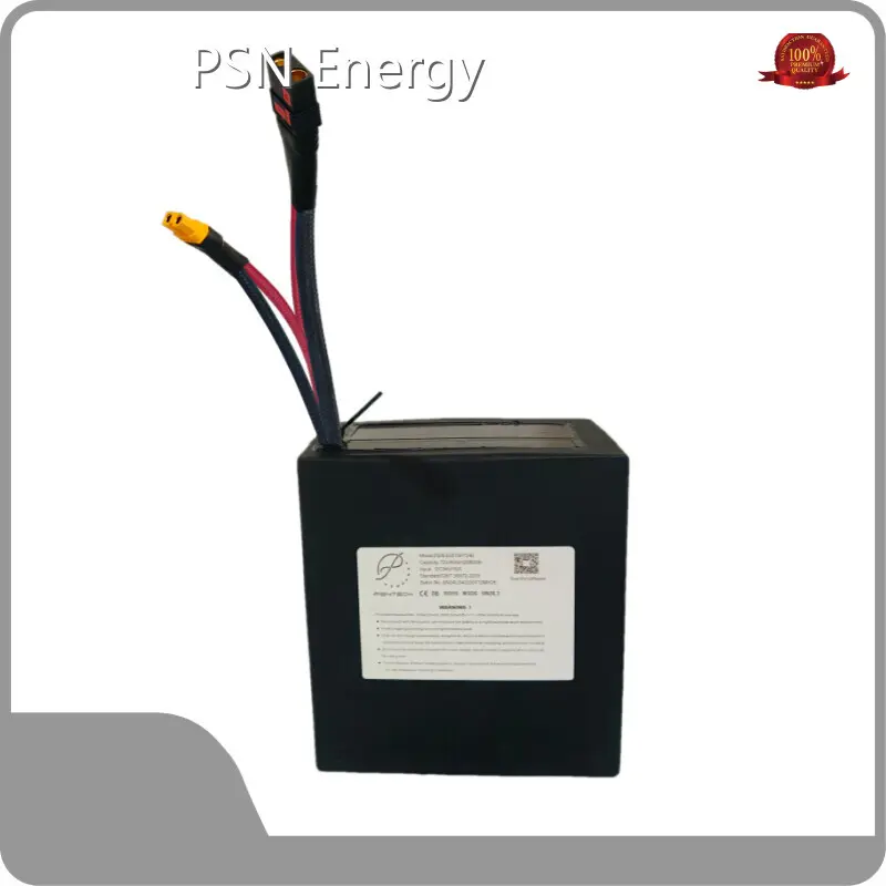 Portable Ev Battery Pack Wholesale - PSN Energy 1