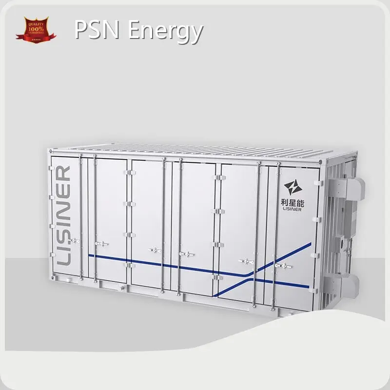 Custom Lithium Ion Battery 8000 TIMES - - PSN Energy 1