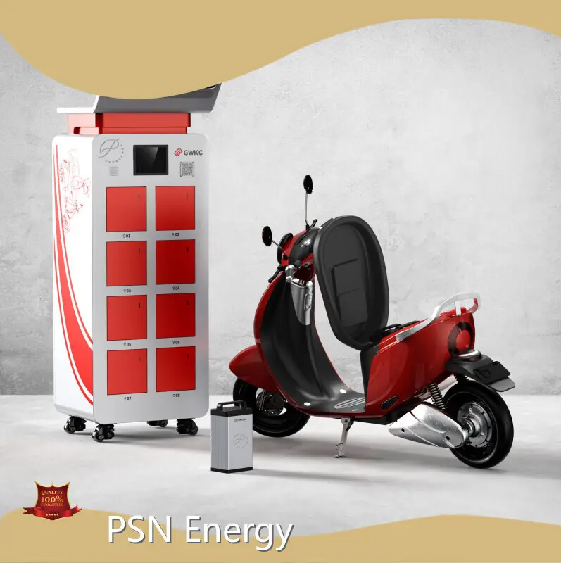 E Bike Charging Station Customermade Wholesale - PSN Energy 1