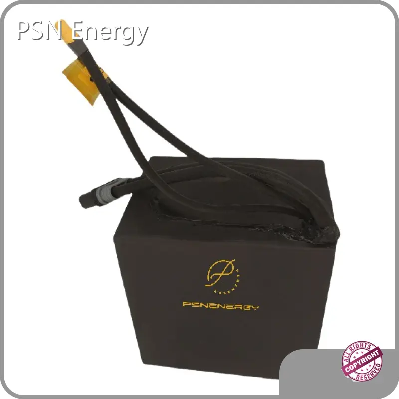 Custom Made Lithium Ion Battery Packs PSN-72336280M by PSN Energy 1