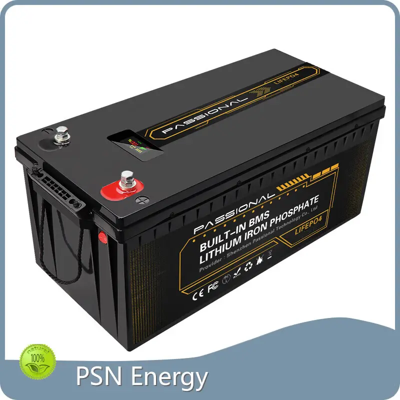 Custom Lithium Battery Manufacturers 1 by PSN Energy 1