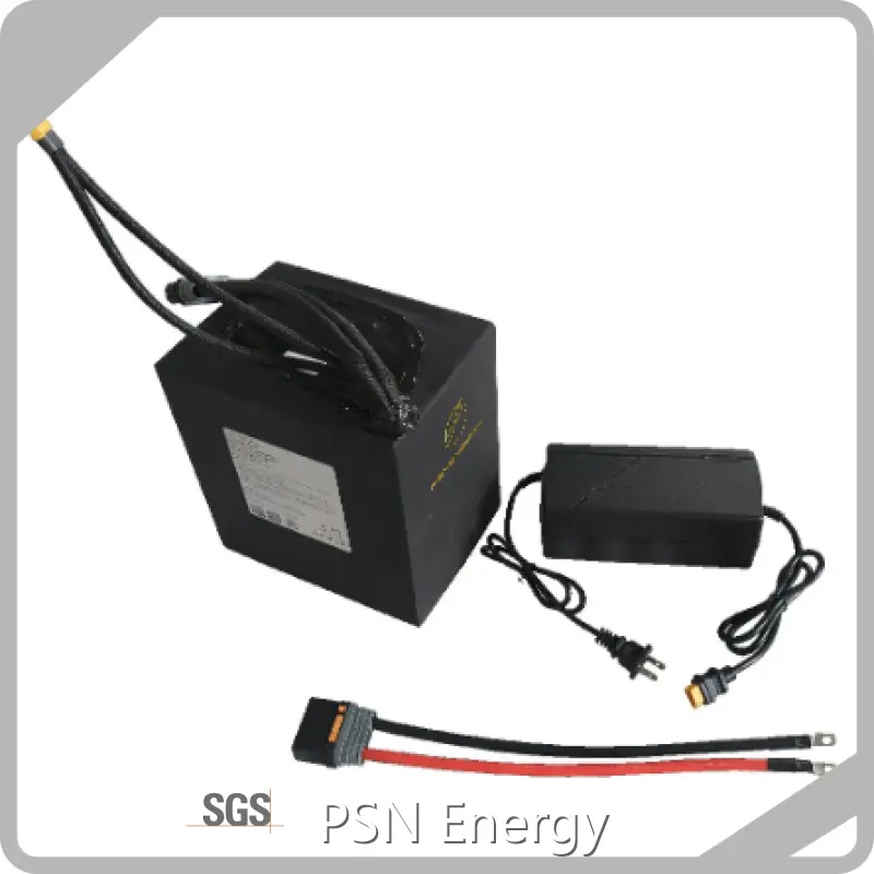 Lithium Power Battery Black/Blue/Red Can Be Customermade Wholesale - PSN Energy 1