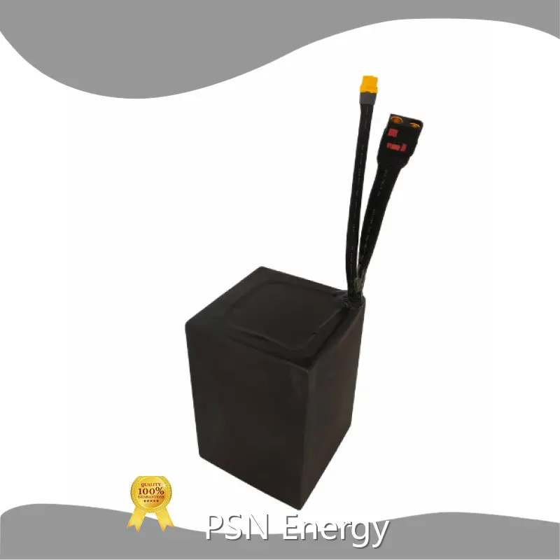 Electric Car Battery Pack 1 Wholesale - PSN Energy 1