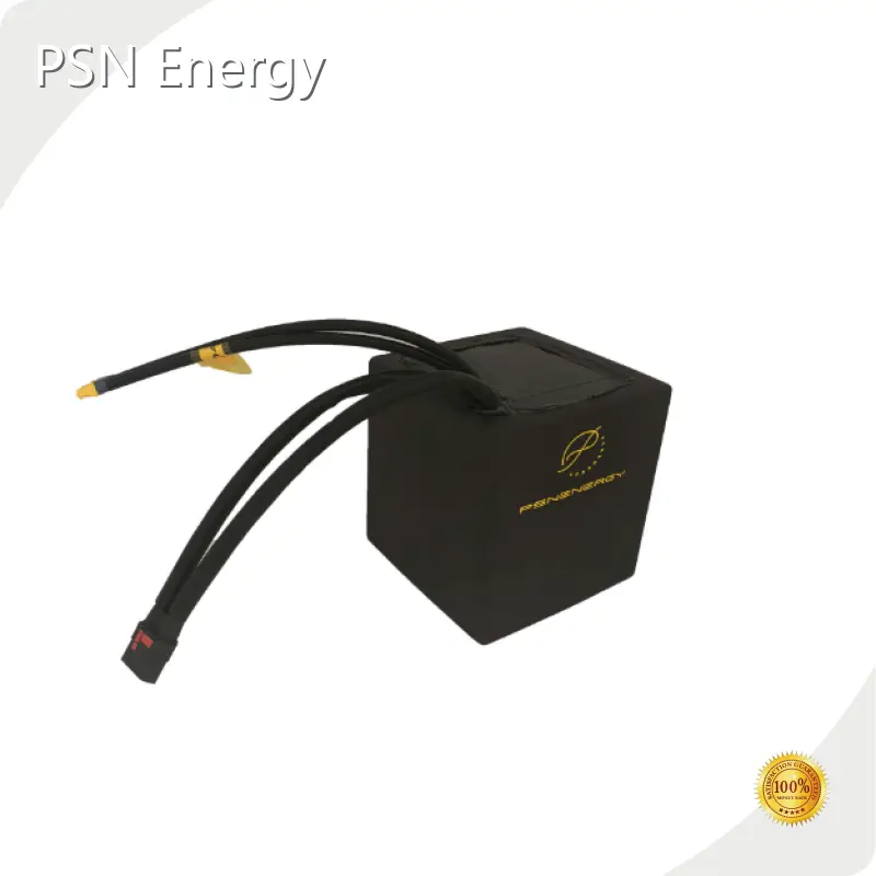 Custom Made Lithium Ion Battery Packs NCM by PSN Energy 1