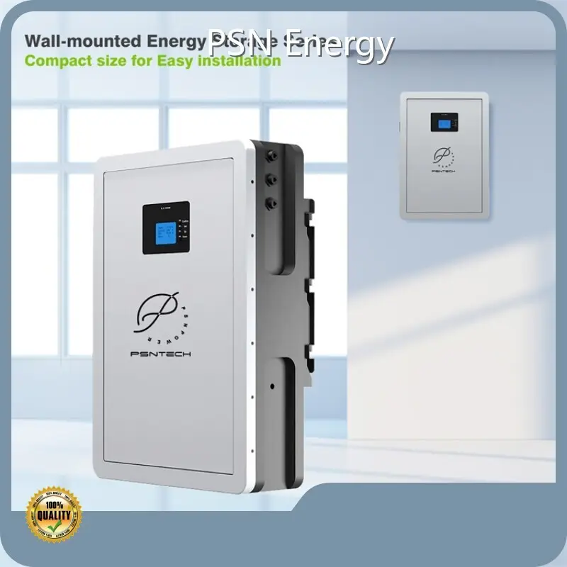 Custom Lithium Ion Battery - - PSN Energy-9 1