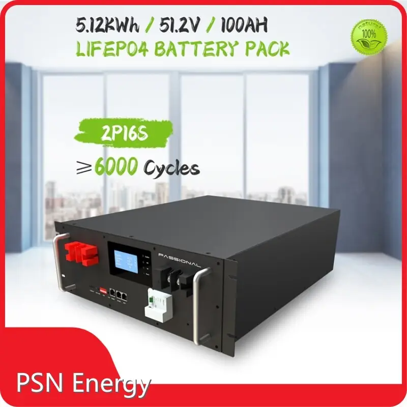 Custom Lithium Ion Battery by PSN Energy-11 1