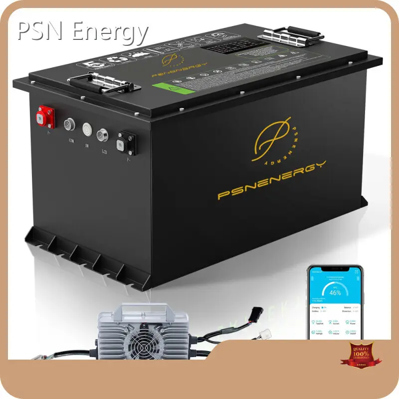LiFePO4 Lithium Battery Pack - - PSN Energy-1 1