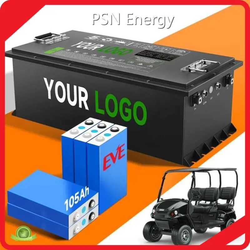 Custom Lithium Batteries by PSN Energy 1