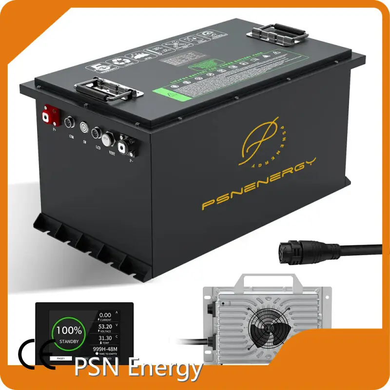 LiFePO4 Lithium Battery Pack - - PSN Energy-2 1