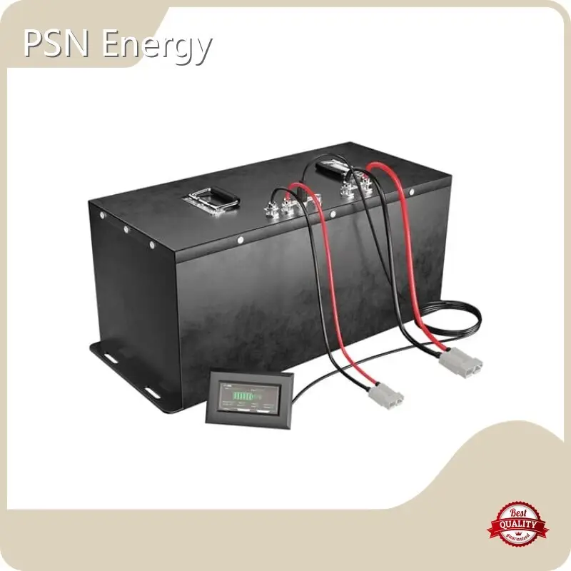 Custom Lithium Batteries 62.4V by PSN Energy 1