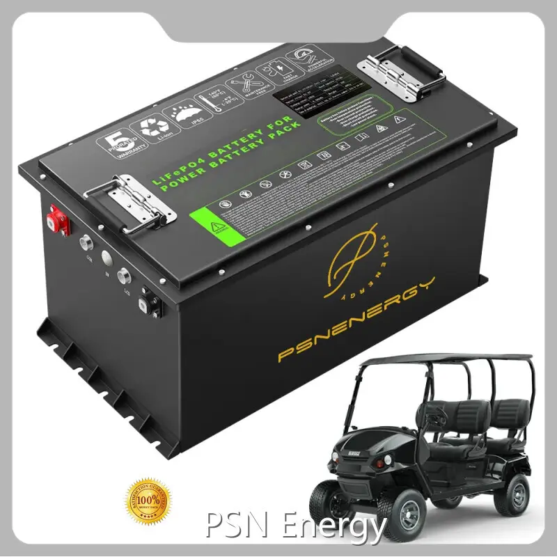 48v 30ah Lithium Ion Battery Pack Wholesale - PSN Energy 1