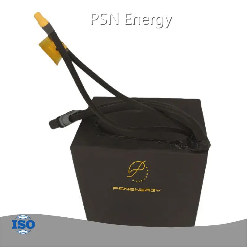 Rechargeable Lithium Battery Pack 200A - - PSN Energy 1