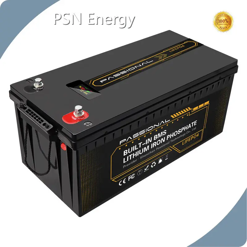 Custom Li Ion Battery PSN-12240S - - PSN Energy 1