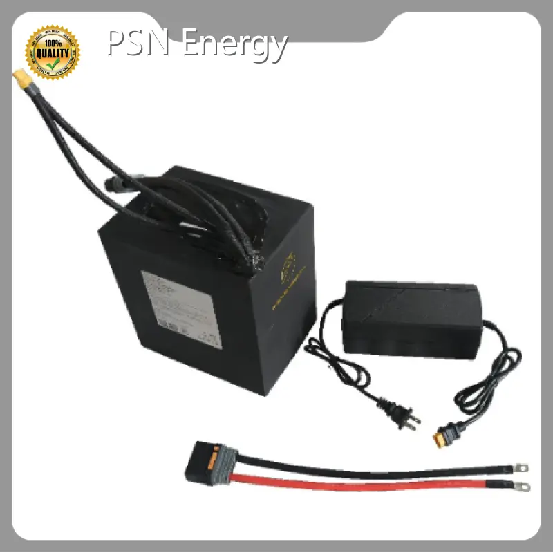 Custom Lithium Batteries 1 by PSN Energy 1