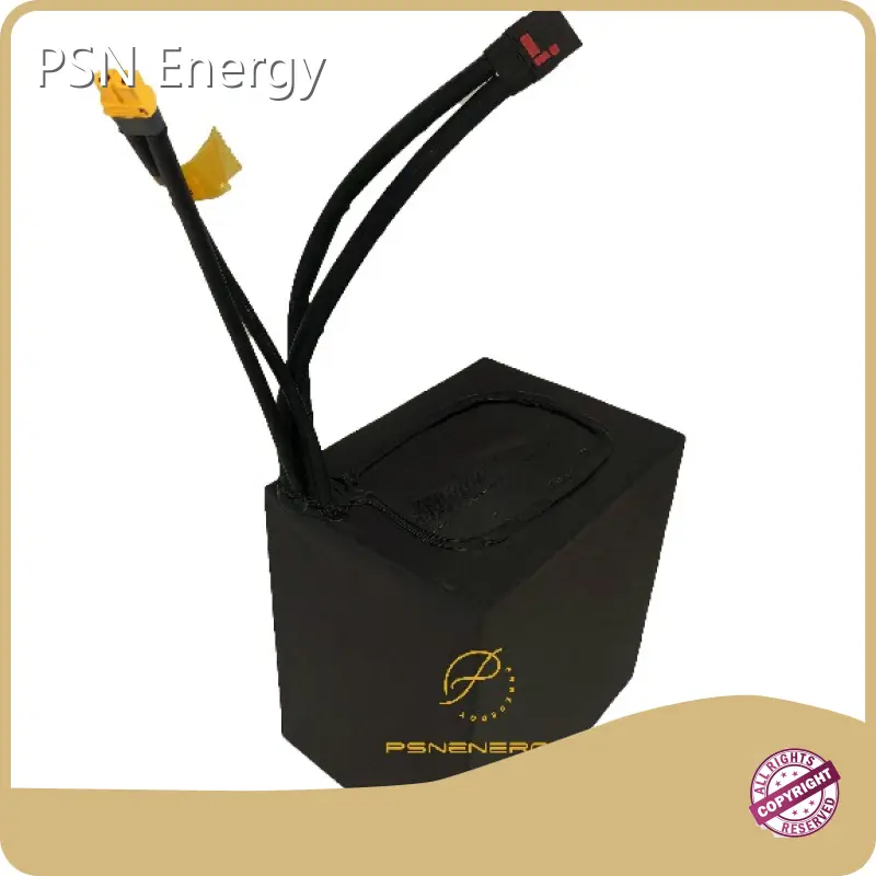 Ev Car Battery Pack 1 Wholesale - PSN Energy 1