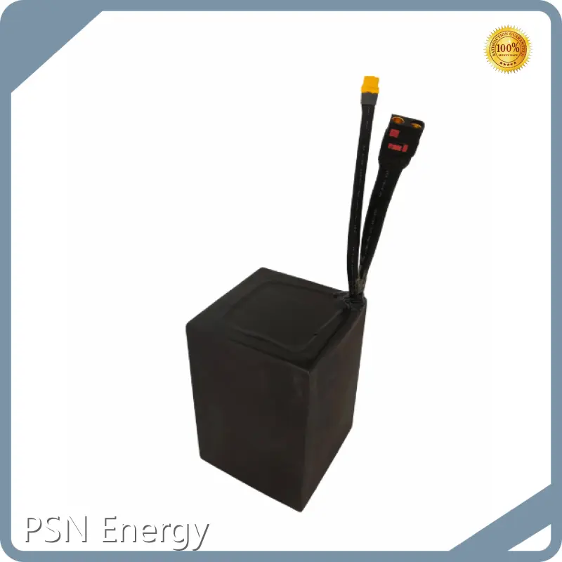 Lithium Ion Battery Pack for Car 1 Battery +1 Charger+ Two Cable with QS8 Connector - - PSN Energy 1