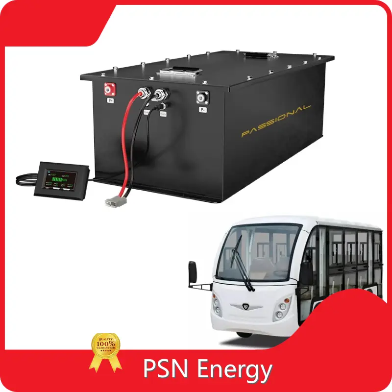 Custom Lithium Battery Packs Wholesale - PSN Energy 1