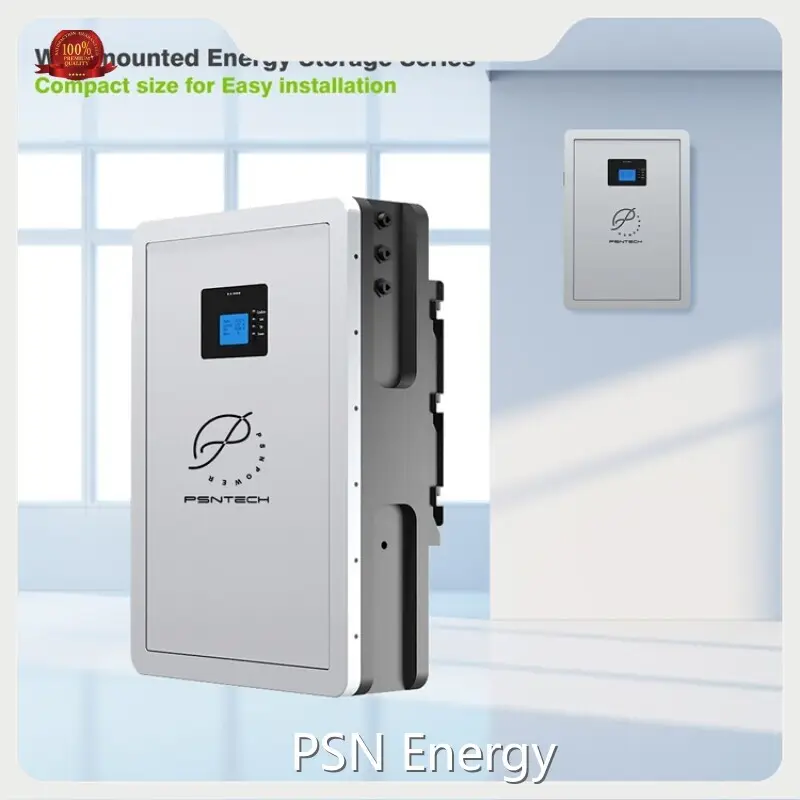 Lithium Ion Battery Tester Wholesale - PSN Energy-3 1