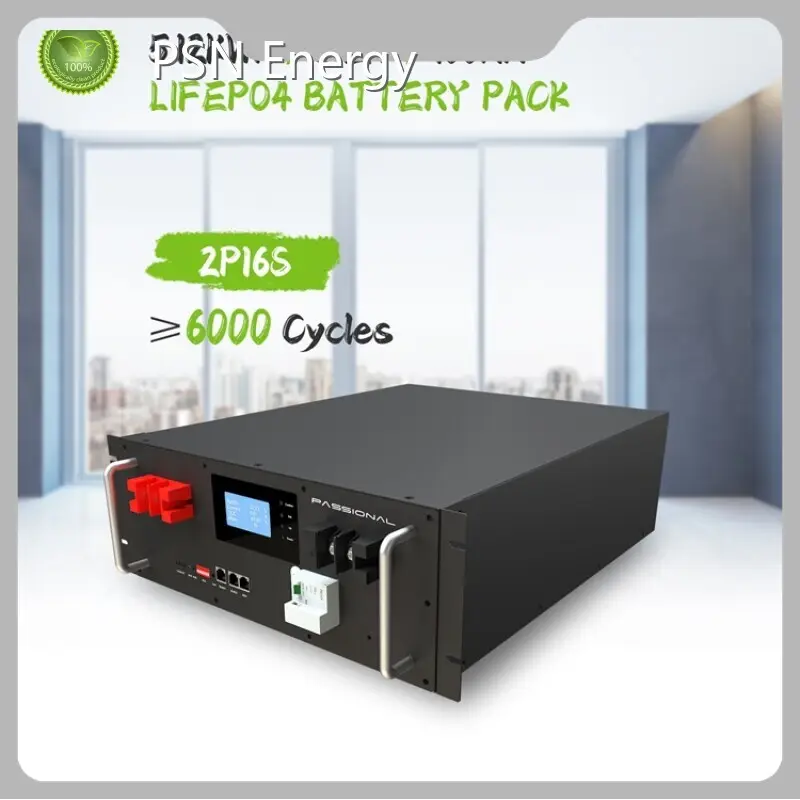 Lithium Ion Battery Tester by PSN Energy-10 1