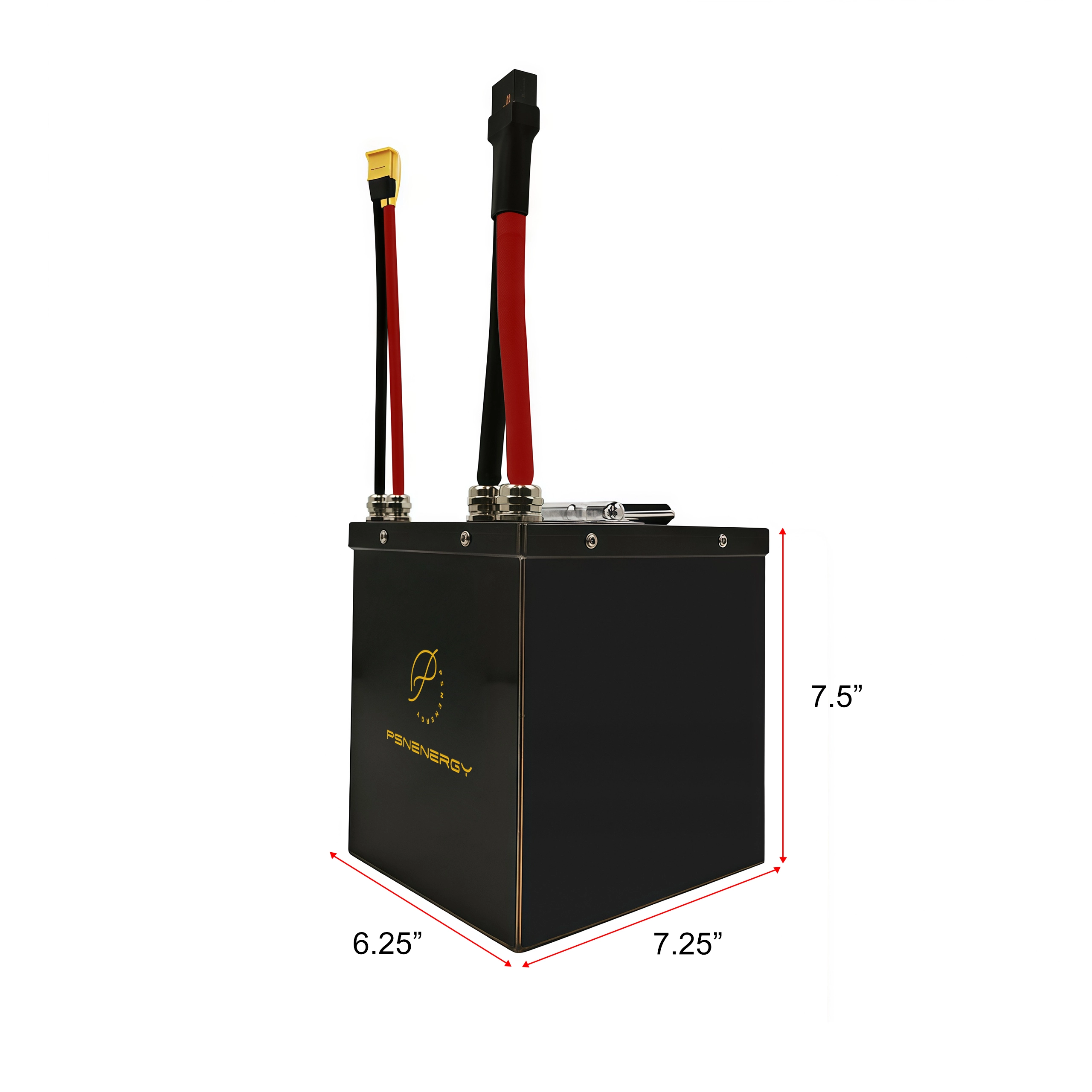 PSN Energy 60V30AH TUTTI EBIKE BATTERY 1