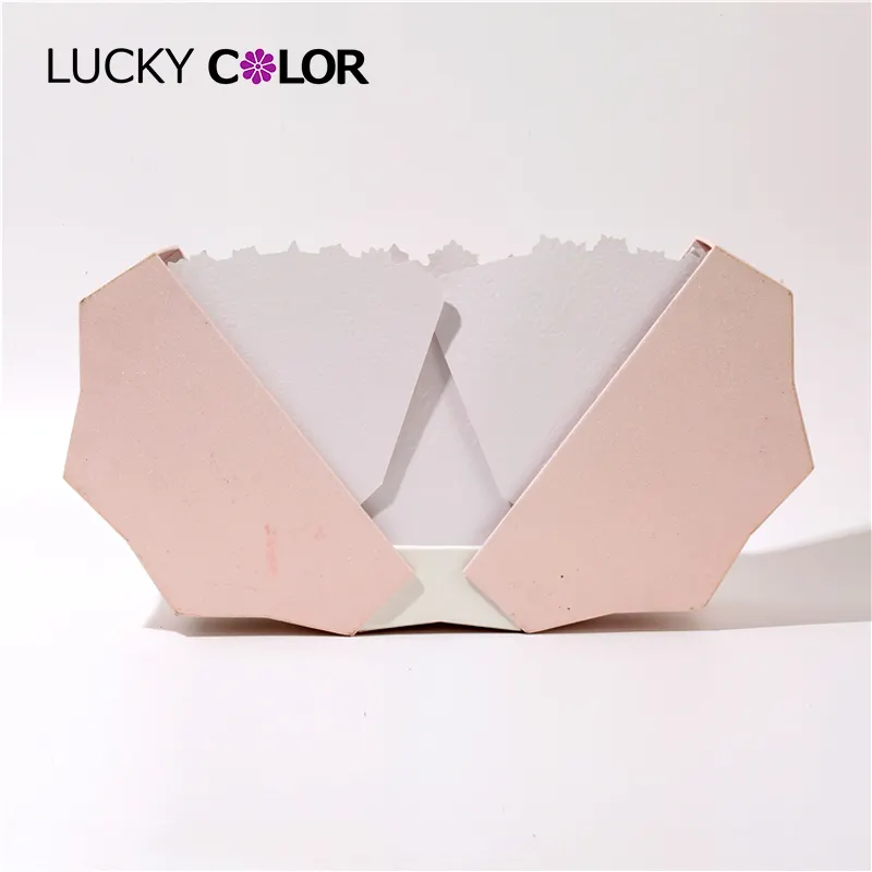 Custom Packaging Bags Factory Gift Box by Lucky Color 6