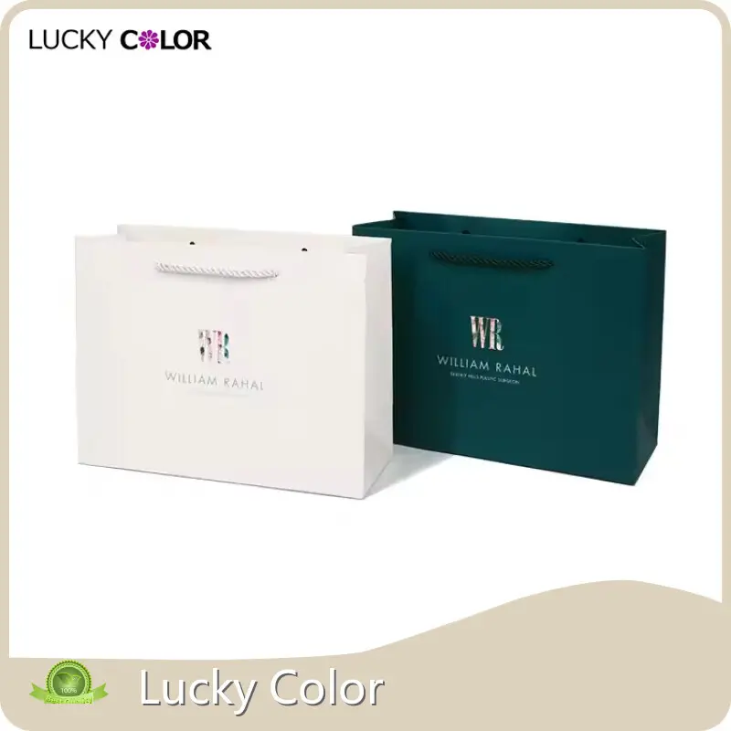 Professional Paper Bag Handle Supplier Price List 1