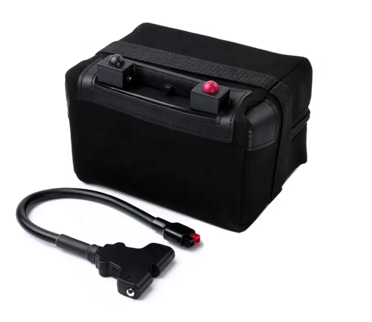 Custom Lithium Battery Manufacturer BQD-1224AHP by Benergy 3