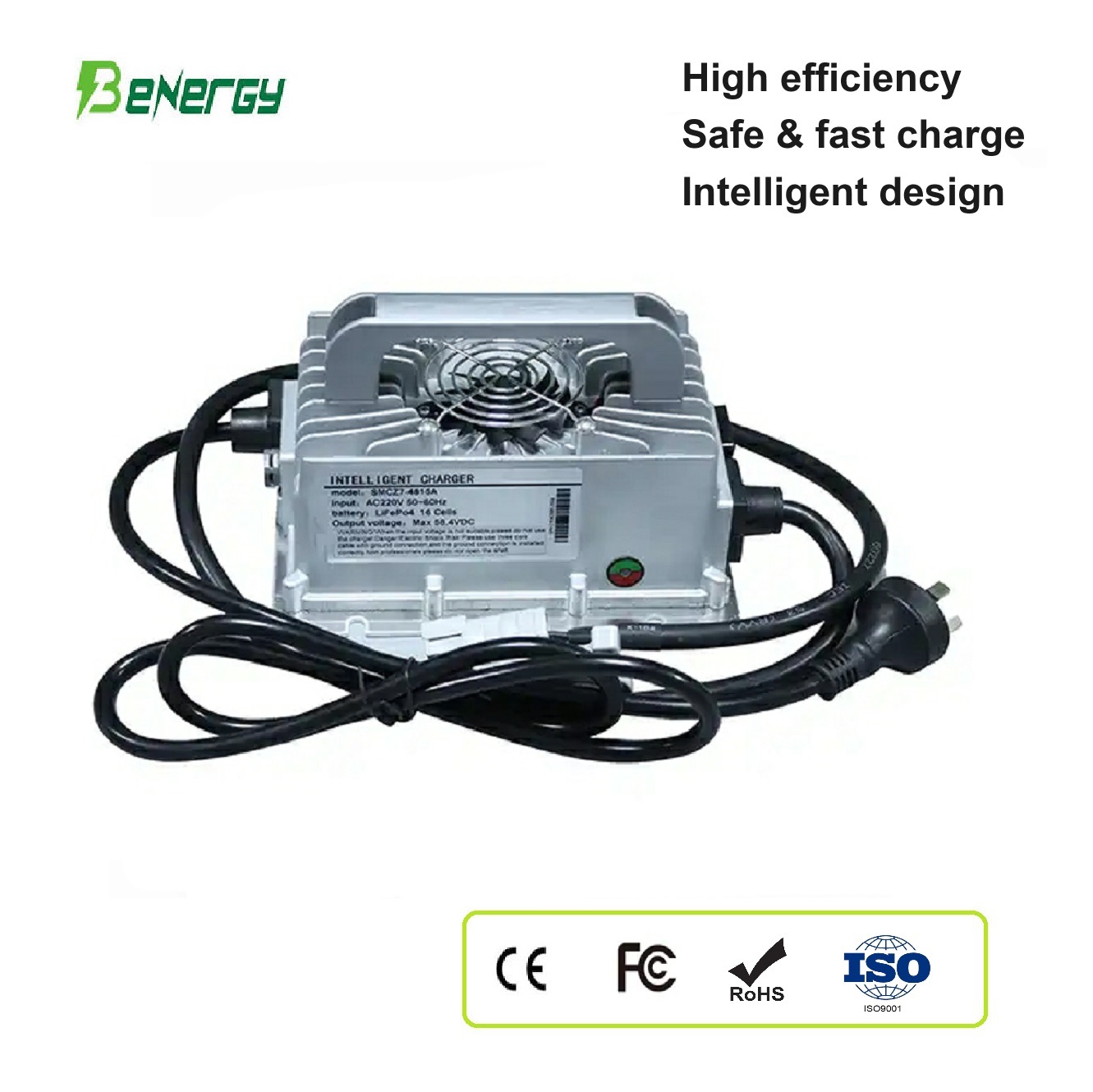 Зарядное устройство Lifepo4 48 В H) от Benergy 2