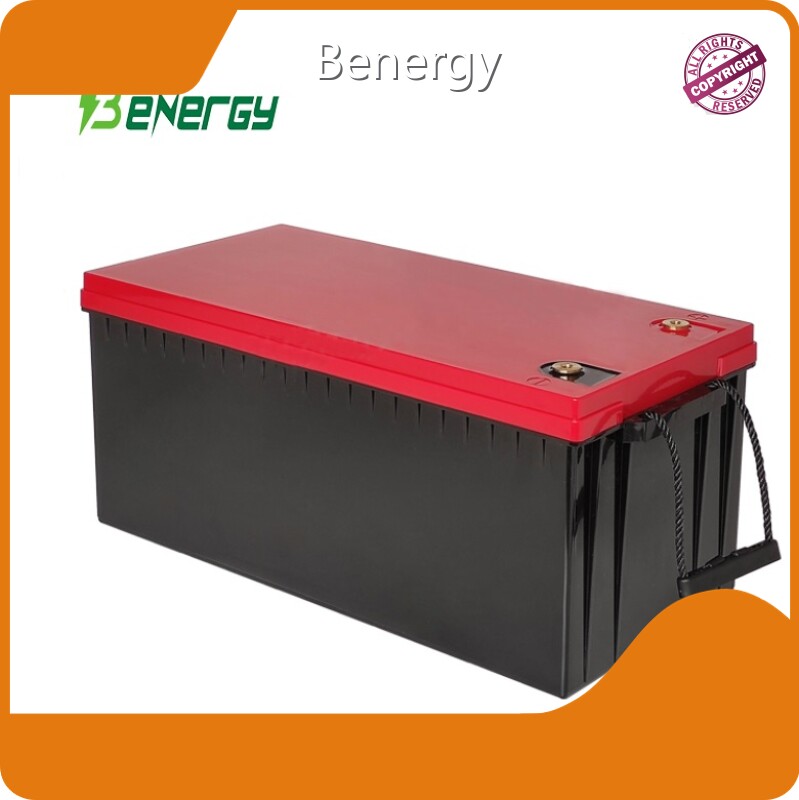Литий-ионный аккумулятор 24 В BENERGY - - Benergy 1