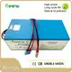 Batería de litio personalizada de Benergy 1