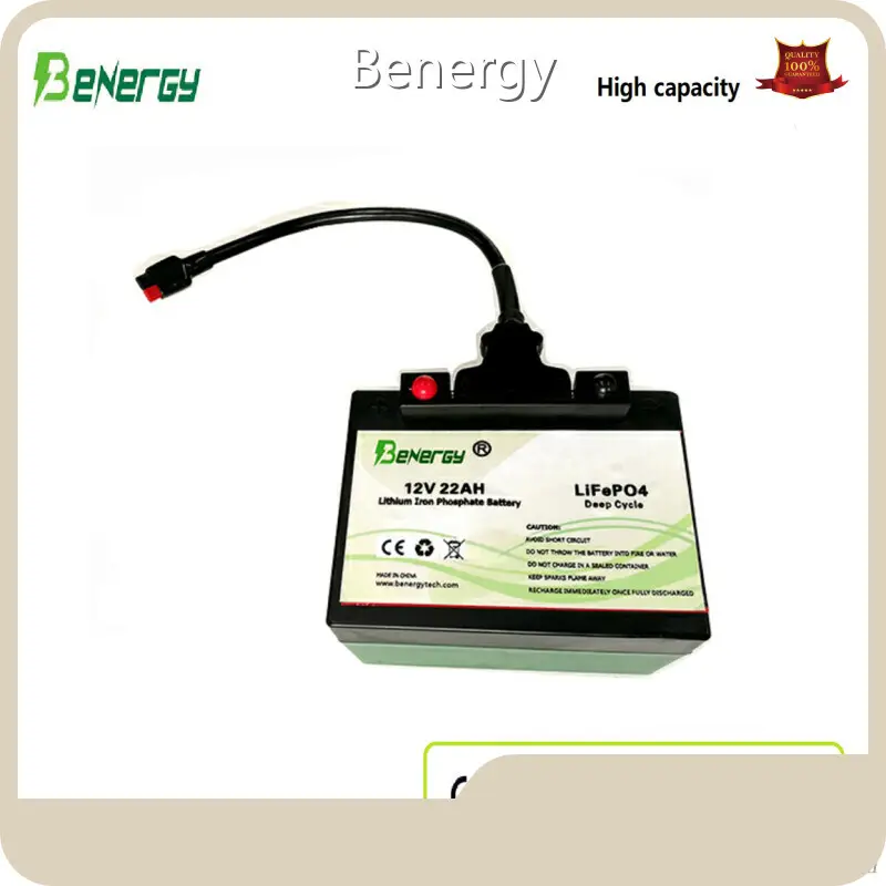 Custom Lithium Ion Battery BQD-1222AHP - - Benergy 1