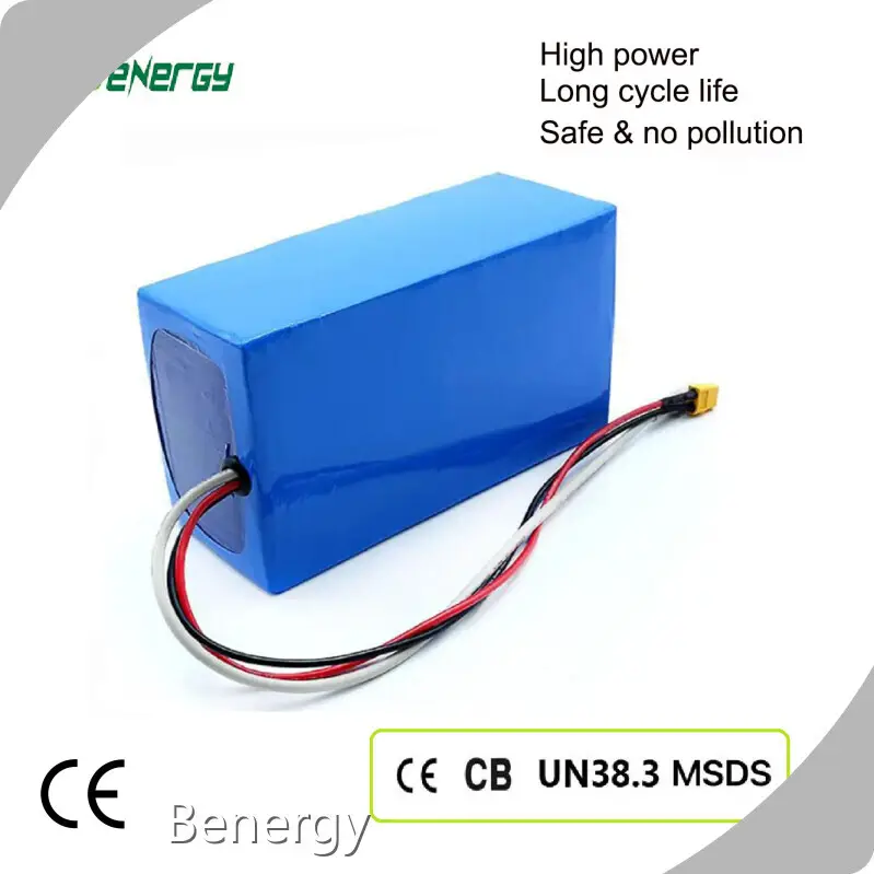 Custom Lithium Ion Battery BPS-4820AHP1 by Benergy 1
