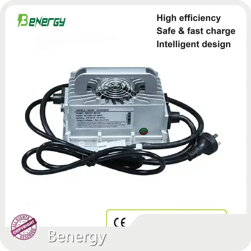 Chargeur de batterie 48v Lifepo4 H) par Benergy 1